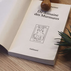 Tampon Ex-libris chat encadré