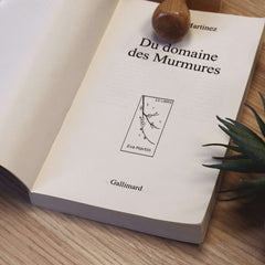 Tampon Ex-libris branche fleurie